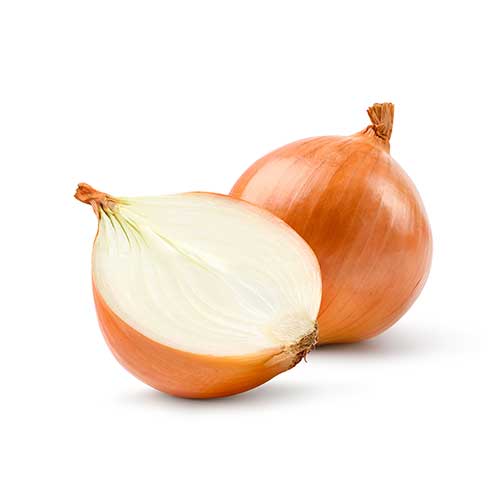 YELLOW ONION