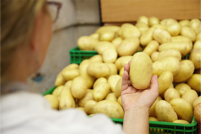 close-up-potatoes-clothing 1