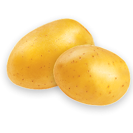 POTATO_banner_small